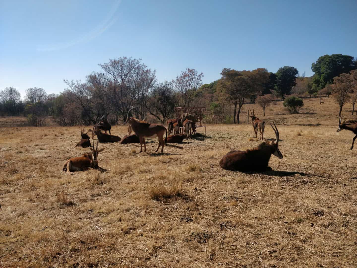 Sable Ranch Hiking Day Trip - The Scribs and Nibs