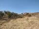 Sable Ranch Hiking Day Trip - The Scribs and Nibs