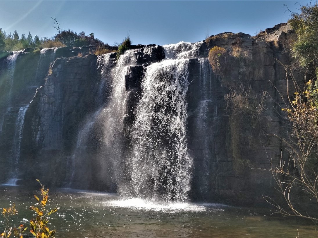 Forest Falls Trail Hiking Guide The Scribs And Nibs