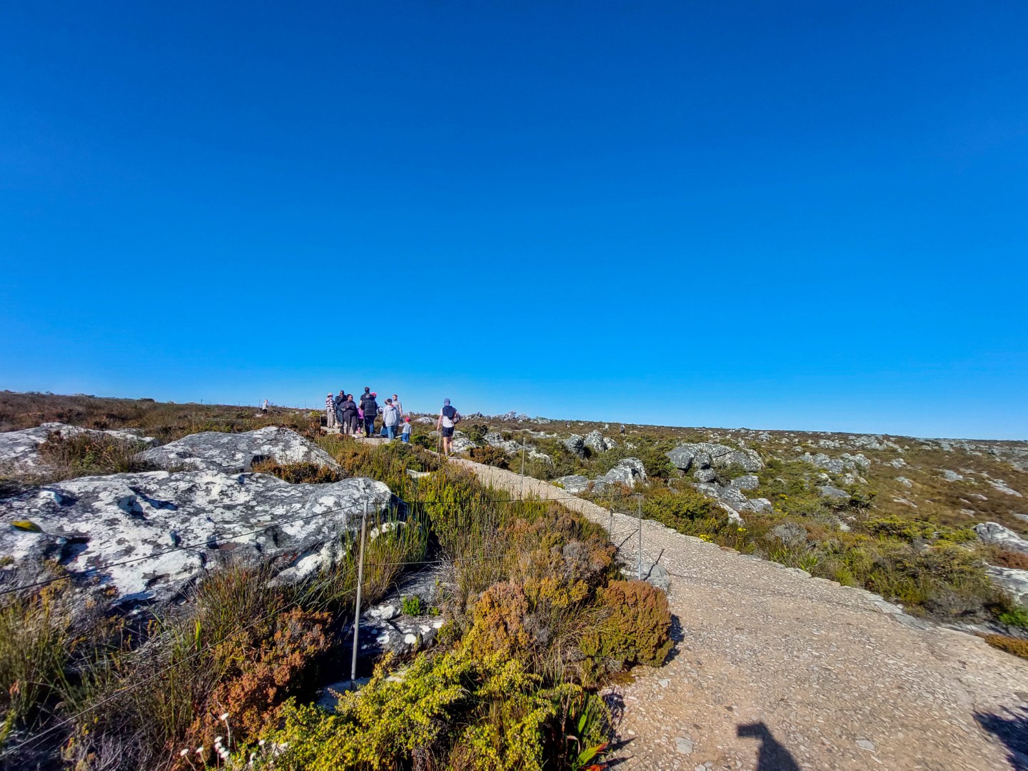 Table Mountain Hiking Guide - The Scribs And Nibs