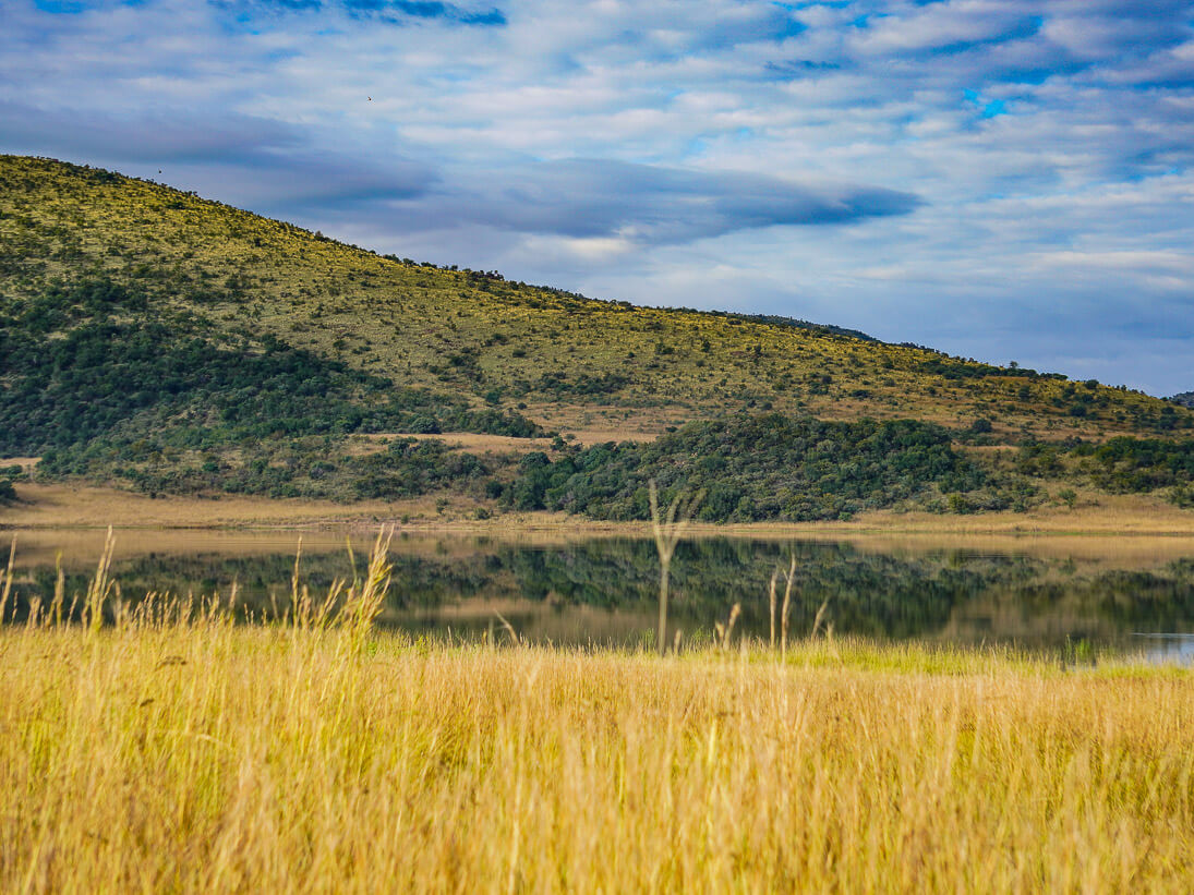 Pilanesberg Safari Day Trip: 2 Hours From Joburg - The Scribs And Nibs