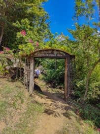 The Gros Piton Hike: The Ultimate Adventure in St. Lucia - The Scribs