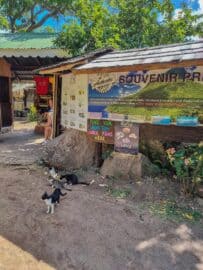 The Gros Piton Hike: The Ultimate Adventure in St. Lucia - The Scribs