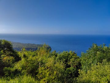 The Gros Piton Hike: The Ultimate Adventure in St. Lucia - The Scribs