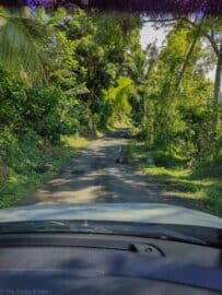 The Gros Piton Hike: The Ultimate Adventure in St. Lucia - The Scribs