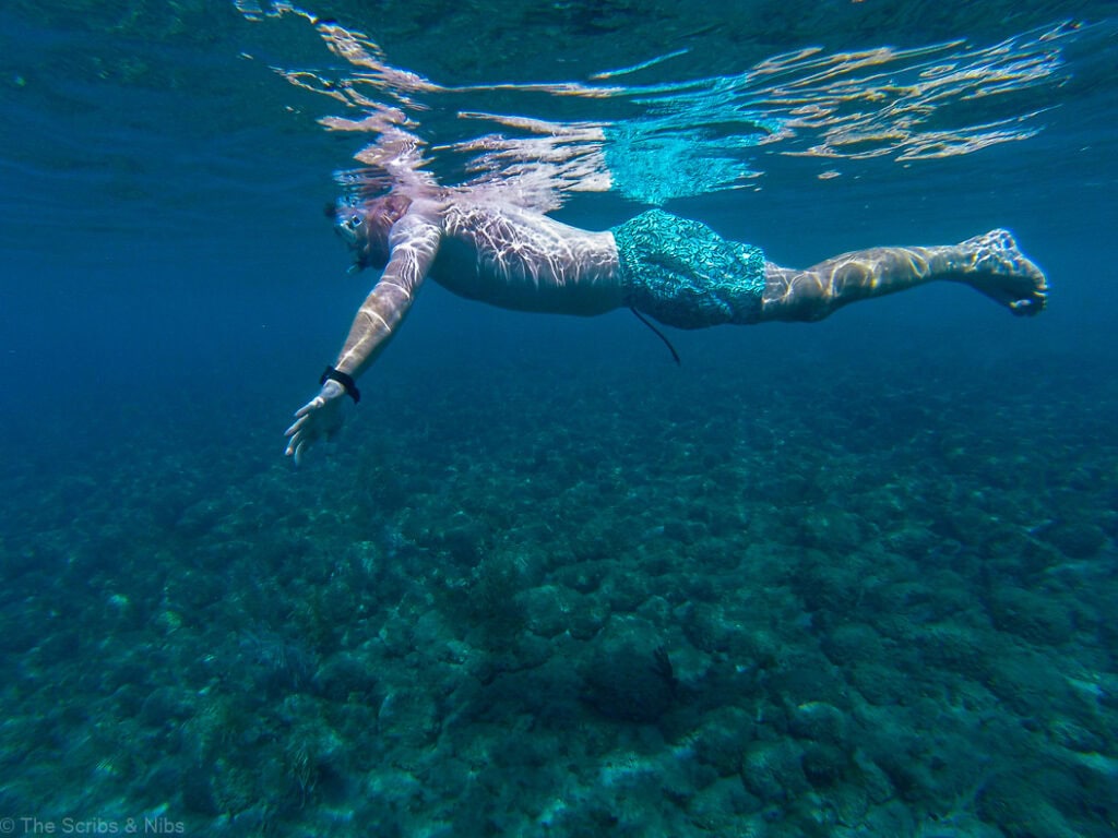 Snorkeling in St. Lucia: Avoid the Crowds - The Scribs and Nibs
